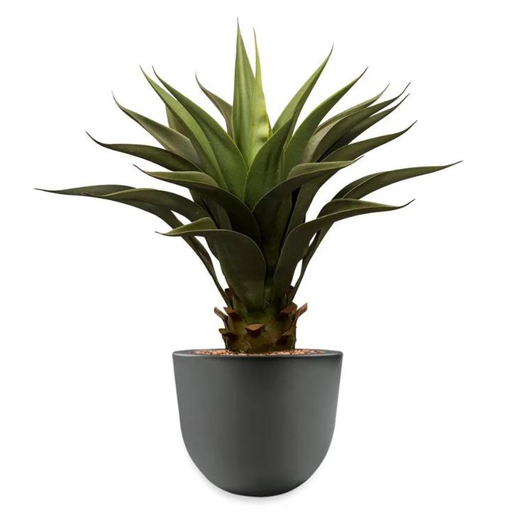 Agave Vetplant kunstplant, H70cm, Huis en Inrichting, Kamerplanten, Ophalen of Verzenden