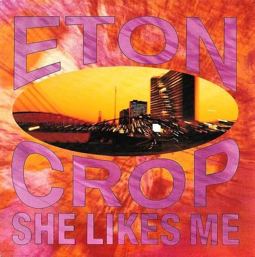 Eton Crop - She Likes Me, Cd's en Dvd's, Vinyl | Rock, Gebruikt, Ophalen of Verzenden