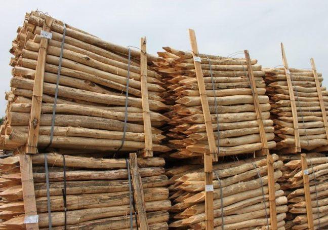 Robinia / acacia weidepaal 180 cm, 10-12 cm, Dieren en Toebehoren, Overige Dieren-accessoires, Nieuw, Ophalen of Verzenden