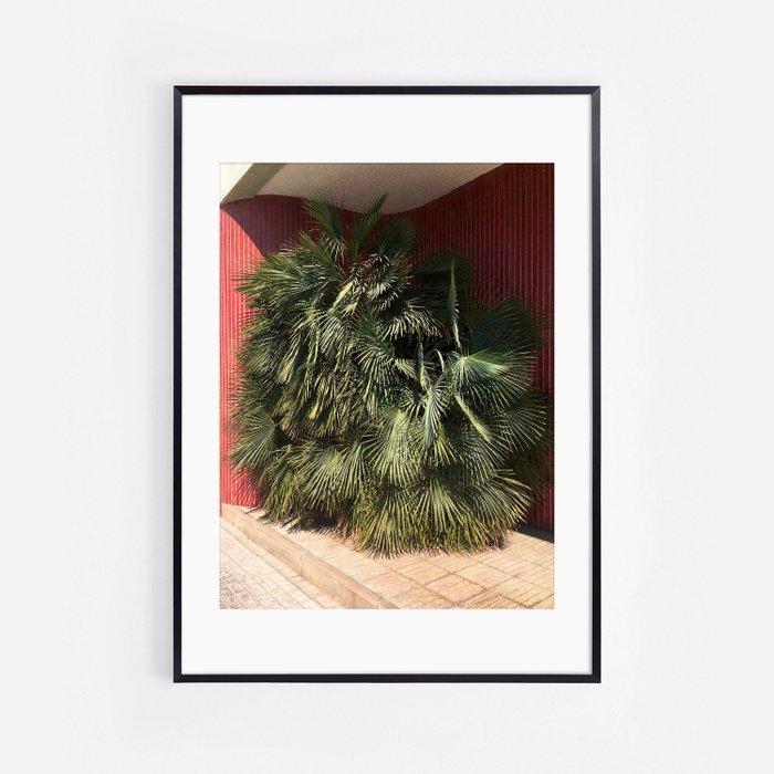 Nicolás Rivas - Plant and lines, Barcelona, Antiek en Kunst, Kunst | Designobjecten