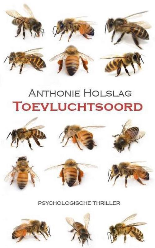 Toevluchtsoord 9789492099211 Anthonie Holslag, Boeken, Thrillers, Gelezen, Verzenden