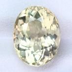 Geel Toermalijn - 6.52 ct - International Gemological, Nieuw