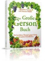 9783981409840 Das Grosse Gerson Buch | Tweedehands, Verzenden, Gelezen, Charlotte Gerson