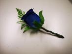 Corsage romance royal blue blauw met asparagus 544 roos, Ophalen of Verzenden, Nieuw