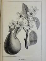 Louis-François Jauffret / Joséphine Prêtre, Maradan - Le, Antiek en Kunst