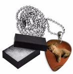 Aluminium plectrum ketting afbeelding van kitten op gitaar, Nieuw, Ophalen of Verzenden