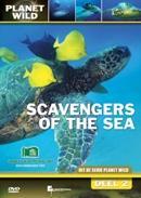 Scavengers of the sea - DVD, Verzenden, Nieuw in verpakking