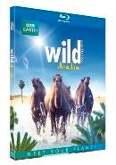 Wild Arabia - BBC earth - Blu-ray, Cd's en Dvd's, Blu-ray, Verzenden