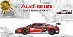 Nunu models - 1/24 AUDI R8 LMS GT3 MACAU 2015 #6-#7, Nieuw, 1:50 tot 1:144
