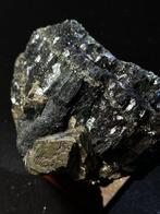 Pyrietkristallen op Elbaanse hematiet Kristallen op matrix -
