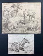 Karel Dujardin (c.1626-1678) - Due tavole originali - La, Antiek en Kunst