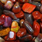 Laatste partij! - ‘Arizona Red’ versteende hout - Gepolijste