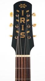 Iris MS00 Dark Burst Satin (Akoestische Gitaren), Muziek en Instrumenten, Ophalen of Verzenden, Nieuw, Western- of Steelstringgitaar