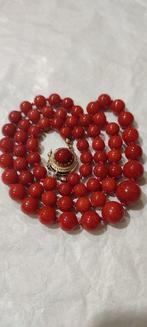 Halsketting - 15 karaat Geel goud Bloedkoraal - Koraal, Nieuw