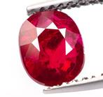 Zonder Minimumprijs Robijn - 1.15 ct - Bellerophon Gemlab -, Nieuw