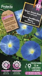 Protecta Bloemen zaden: Klimmende Winde Grootbloemig Blauwe, Tuin en Terras, Bloembollen en Zaden, Ophalen of Verzenden