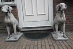 Engelse Jachthond ,Pointer,Weimaraner,, Tuin en Terras, Tuinbeelden, Ophalen, Nieuw, Beton, Dierenbeeld