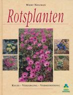 Rotsplanten 9789021520865 Wiert Nieuman, Gelezen, Wiert Nieuman, Verzenden
