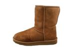 Ugg Enkellaarzen in maat 39 Bruin
