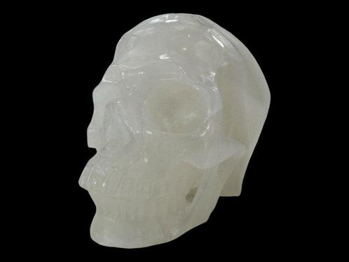 !!MEMENTO MORI!! Kwartsrots kristal Museumkwaliteit, Verzamelen, Dierenverzamelingen