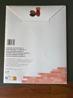 Lego Merchandise - Dungeons & Dragons - D&D LEGO Insiders, Nieuw