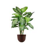 Dieffenbachia kunstplant, H115cm, Ophalen of Verzenden