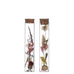 Reageerbuisjes glas 15cm. d.3cm. Met KURK doos 6st Pipet met, Nieuw, Ophalen of Verzenden