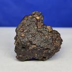 Zeldzame meteoriet CR2 - koolstofrijke chondriet - ERG CHECH, Verzamelen, Mineralen en Fossielen