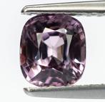 Zonder Minimumprijs Spinel  - 1.06 ct - Antwerp Laboratory, Nieuw