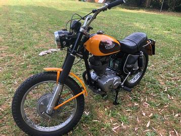Ducati - 250 GT - Scrambler - 250 cc - 1970 beschikbaar voor biedingen
