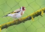 30x15m Vogelnet Sterk Herbruikbaar Tuin Vijver Fruit Bescher, Verzenden, Nieuw