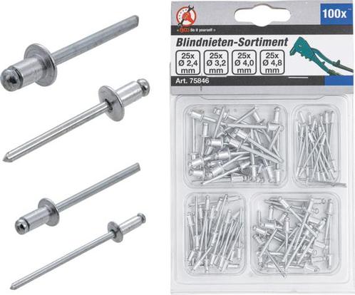 Popnagel assortiment diameter 2,4 - 4,8 mm 100-dlg, Auto diversen, Autogereedschap, Verzenden