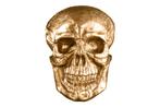 Exclusief wandsculptuur SKULL XXL 40cm gouden decoratieve, Huis en Inrichting, Woonaccessoires | Overige, Ophalen of Verzenden