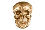 Exclusief wandsculptuur SKULL XXL 40cm gouden decoratieve, Nieuw, Ophalen of Verzenden