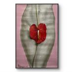 Cristian Mesa Velazquez - El Umbral del Deseo