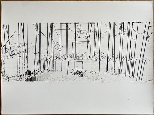 Mario Giacomelli (1925-2000) - “Bando” di Sergio Corazzini, Antiek en Kunst, Kunst | Schilderijen | Modern