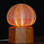 Tafellamp - Real Sea Urchin - tafellamp - natuurlijke, Nieuw