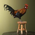 Kipje op Kruk Taxidermie Opgezette Dieren By Max, Ophalen of Verzenden, Nieuw, Vogel, Opgezet dier