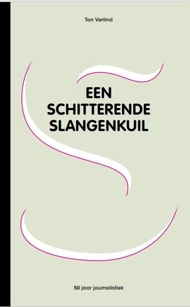 Een schitterende slangenkuil 9789082873894 Ton Verlind, Boeken, Economie, Management en Marketing, Zo goed als nieuw, Verzenden