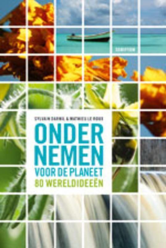 Ondernemen voor de planeet 9789055947058 Sylvain Darnil, Boeken, Politiek en Maatschappij, Zo goed als nieuw, Verzenden