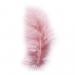 Veertjes roze fluf 5-10 cm. +/- 15 stuks Veertjes, Hobby en Vrije tijd, Knutselen, Ophalen of Verzenden, Nieuw