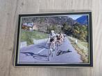 Tour de France - Eddy Merckx - Foto, Nieuw