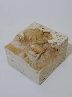 Krab - Fossiel skelet - 80 mm - 80 mm (Zonder Minimumprijs), Verzamelen, Mineralen en Fossielen