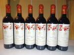 1995 Chateau Mouton Rothschild - Bordeaux, Pauillac 1er, Verzamelen, Wijnen, Nieuw