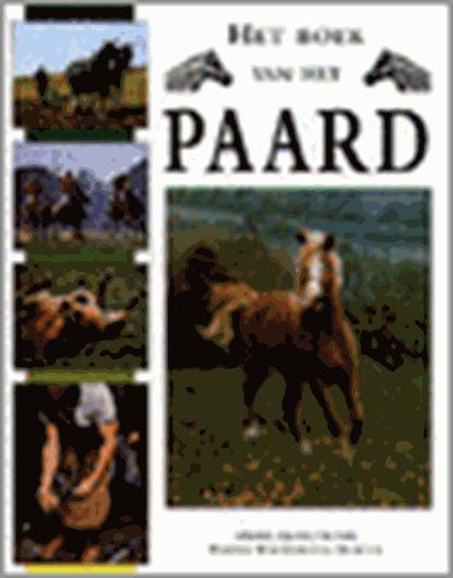 Het boek van het paard, Boeken, Hobby en Vrije tijd, Zo goed als nieuw