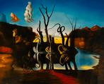Salvador Dalí – Reflections of Elephants | 60x80, Ophalen of Verzenden, Nieuw