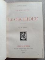 Angiolo Pucci - Le orchidee - 1905, Antiek en Kunst, Antiek | Boeken en Bijbels