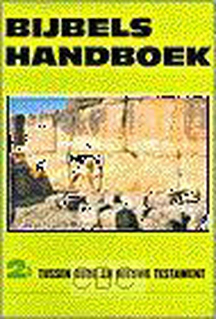 BIJBELS HANDBOEK 2B TUSSEN OUDE NWE TESTAMENT 9789024213610, Boeken, Godsdienst en Theologie, Gelezen, Verzenden