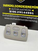 Renault Megane binnenverlichting achter bj.2016 264309166R, Gebruikt, Renault