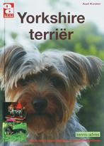 Yorkshire terrier / Over Dieren 9789058216052, Gelezen, [{:name=>'A. Koster', :role=>'A01'}], Verzenden